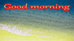 Good Morning Images Photo Free Download