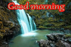 Good Morning Images Photo Pictures HD Download