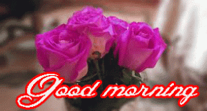 Him Flower good morning Images Photo Pictures HD Download
