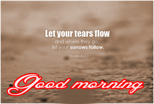  Good morning thought Motivational Quotes Images HD Download
