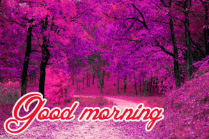 Goodmorning Images Photo Pics Download