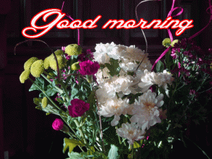 Him Flower good morning Images Wallpaper Pics Download