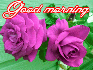 Her Flower good morning images Wallpaper Pictures Pics Download