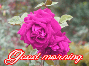 Her Flower good morning images Pics Wallpaper Download