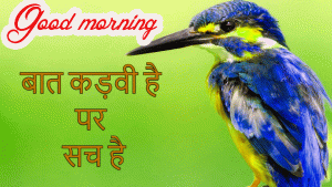 Hindi Life Quotes Status Good Morning Images Wallpaper Pics Download for Whatsaap