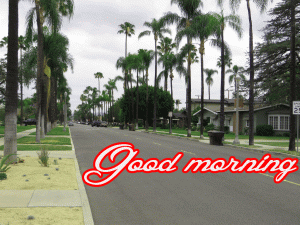 Good Morning Images Wallpaper Photo Pics Download