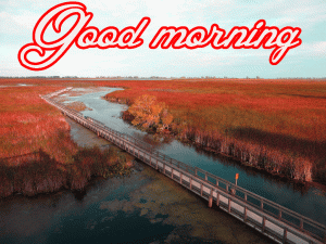 Good Morning Images Wallpaper Pics Download