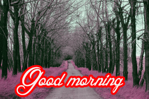 Good Morning Images Photo Download