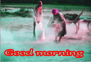 Husband Wife Romantic Good Morning Images photo Free Download