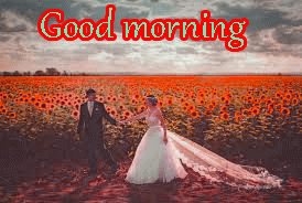 Husband Wife Romantic Good Morning Images Wallpaper HD Download