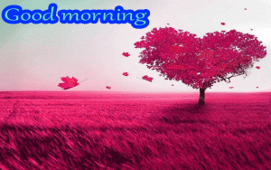 Love Good Morning Wishes Images Wallpaper Pictures Free Download