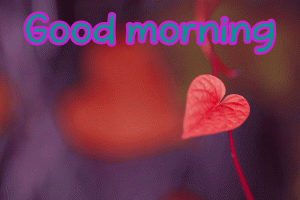 Love Good Morning Images Pictures Download