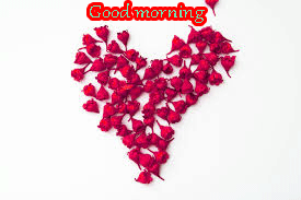 Love Good Morning Wishes Images Photo Pics Download