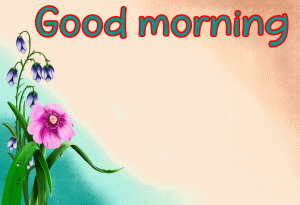 Love Good Morning Images Wallpaper HD Download
