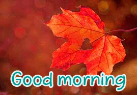 Love Good Morning Images Pics free Download