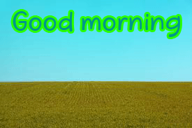 Love Good Morning Images Wallpaper HD Download