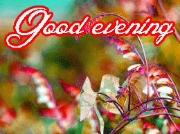 Beautiful Good Evening Images Photo Wallpaper Download