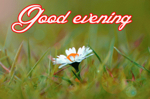 Beautiful Good Evening Images Wallpaper Pics Download