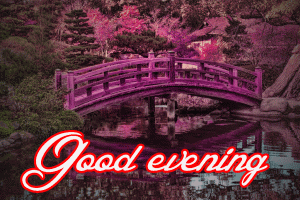 Beautiful Good Evening Images Photo Pics Download