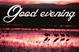 Beautiful Good Evening Images Photo Wallpaper Download