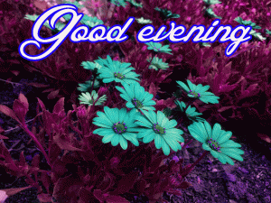 Beautiful Good Evening Images Wallpaper download