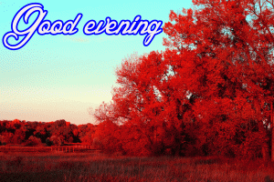 Beautiful Good Evening Images Photo Wallpaper Free Download