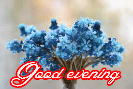 Beautiful Good Evening Images Wallpaper Pics Download
