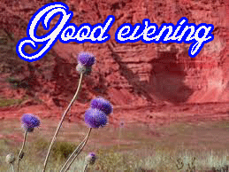 Beautiful Good Evening Images Photo HD Download