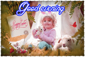 Cute Good Evening Images Photo HD Download