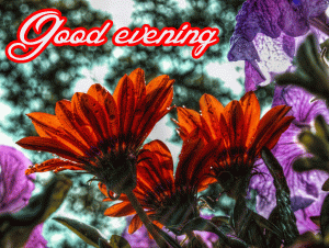 Flower / God Good Evening Images Photo Wallpaper Pics Download