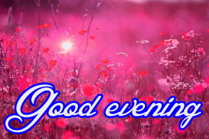 Flower / God Good Evening Images Photo Free Download