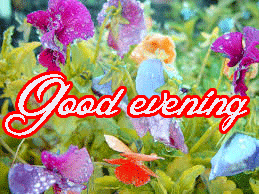 Flower / God Good Evening Images Pictures Photo Download