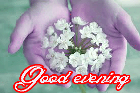 Flower / God Good Evening Images Wallpaper Photo HD Download