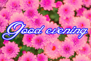 Flower / God Good Evening Images Wallpaper Pics Download