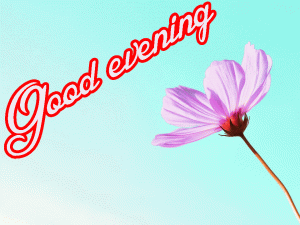 Flower / God Good Evening Images Wallpaper Pics Download