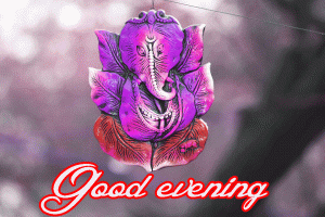 Flower / God Good Evening Images Wallpaper Pics HD Download for Whatsaap