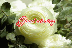 Flower / God Good Evening Images Wallpaper For Whatsaap