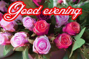 Flower / God Good Evening Images Pictures Pics Download