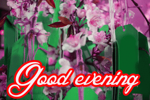 Good Evening Wishes Images Wallpaper Pics HD Download