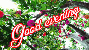 Good Evening Wishes Images Photo Download In HD