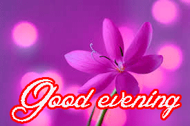 Good Evening Wishes Images Photo Wallpaper Download for Whatsaap