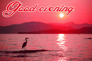 Good Evening Wishes Images Photo Pictures HD Download