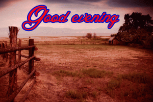 Good Evening Wishes Images Wallpaper HD Download