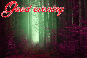 Latest New Amazing Good Evening Wishes Images Photo Free Download