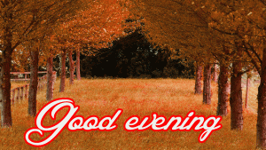 Latest New Amazing Good Evening Wishes Images Wallpaper Pics Download