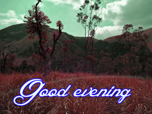 Good Evening Beautiful Nature Images Pictures Pics Download In HD