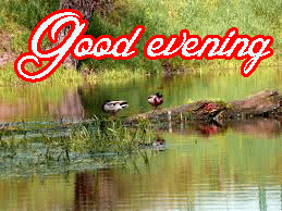 Good Evening Beautiful Nature Images Photo Wallpaper
