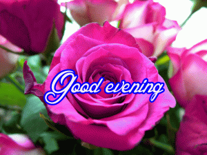 Good Evening Wishes Images Pictures Pics Free Download