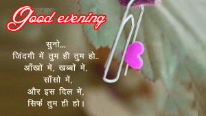  Good Evening Hindi Shayari Images Wallpaper HD Download