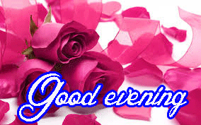 Good Evening Wishes Images Photo Wallpaper Pics With Rose
